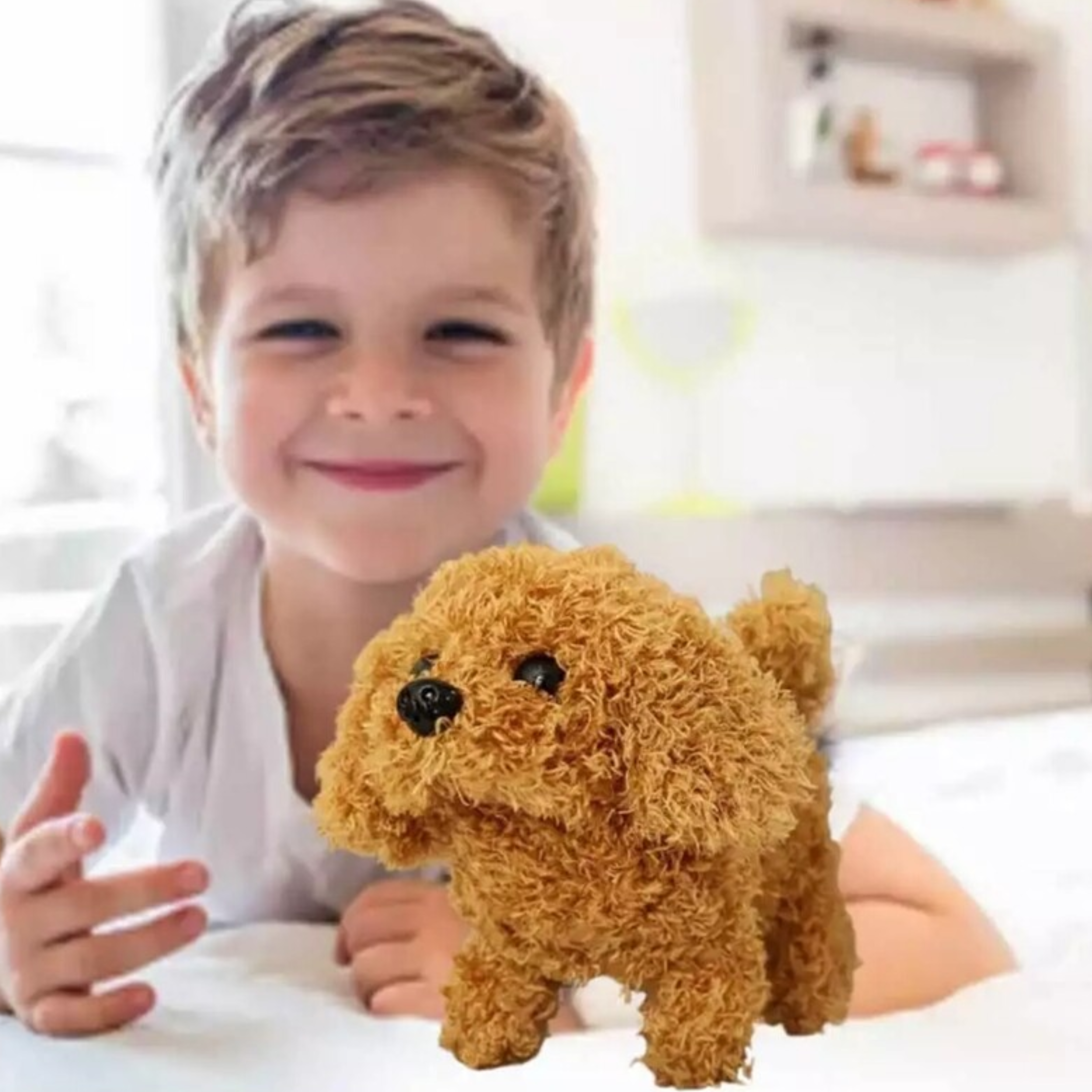 froplay dog reviews Noah L.